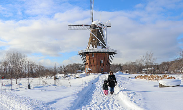 Holland Windmill Snow